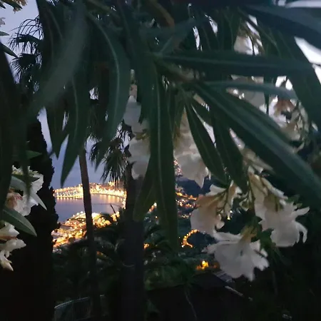 Panoramica Apartamento