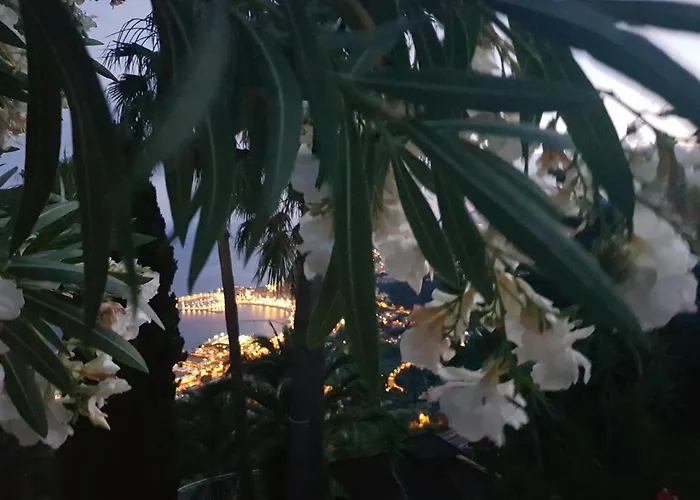 Panoramica アパート