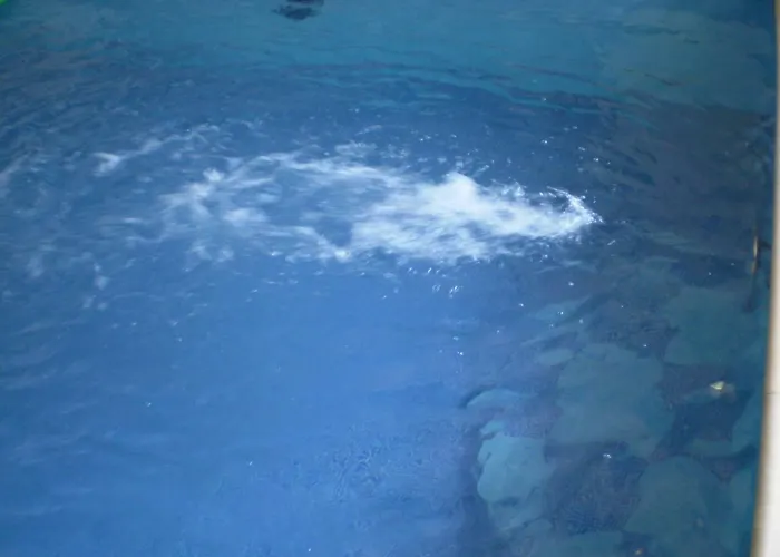 Panoramica マントン